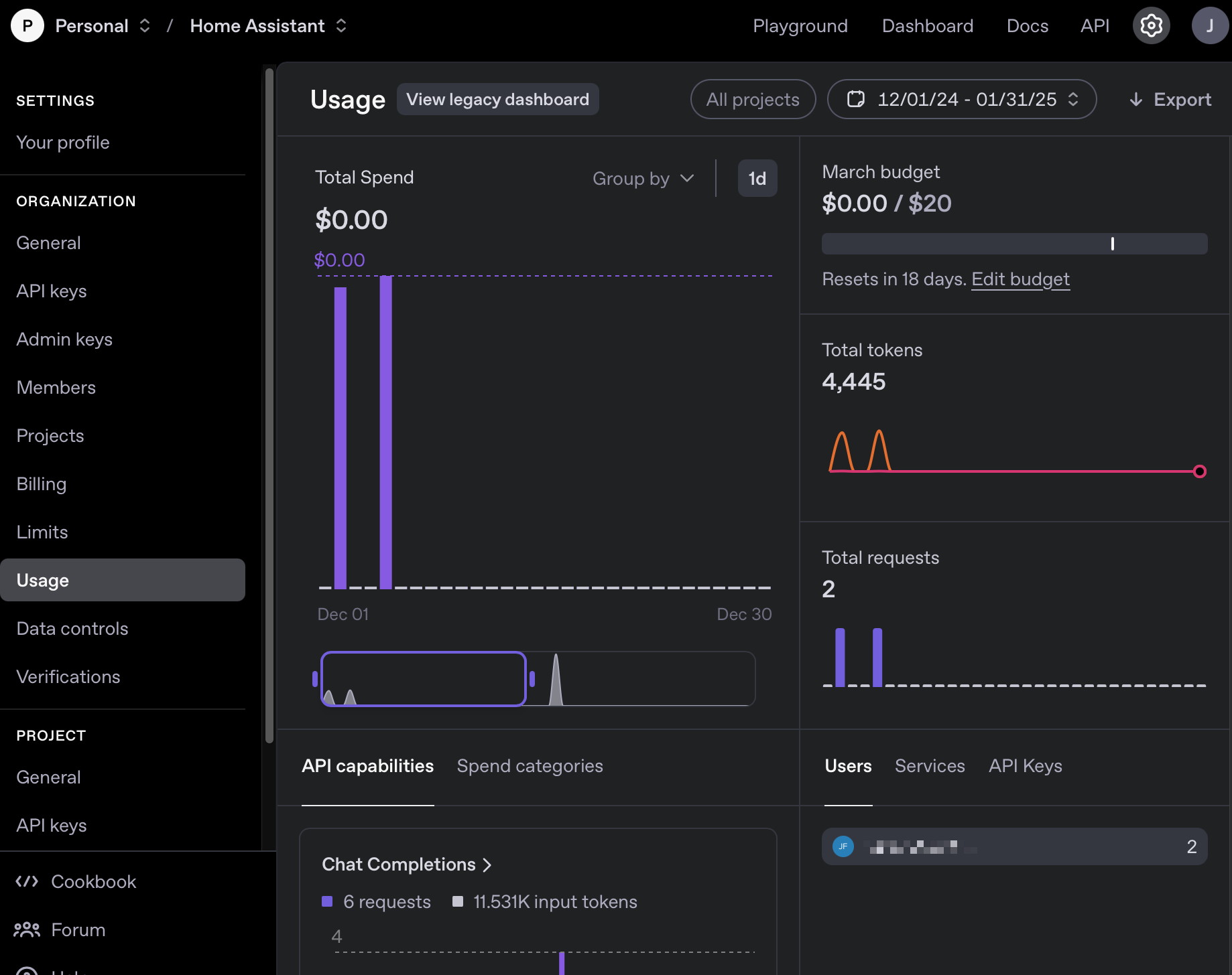 OpenAI Usage page